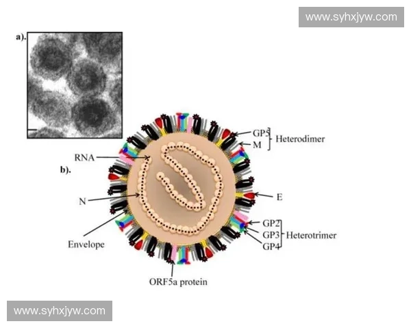 反击组织如何应对现代战争中的新型威胁与挑战探索